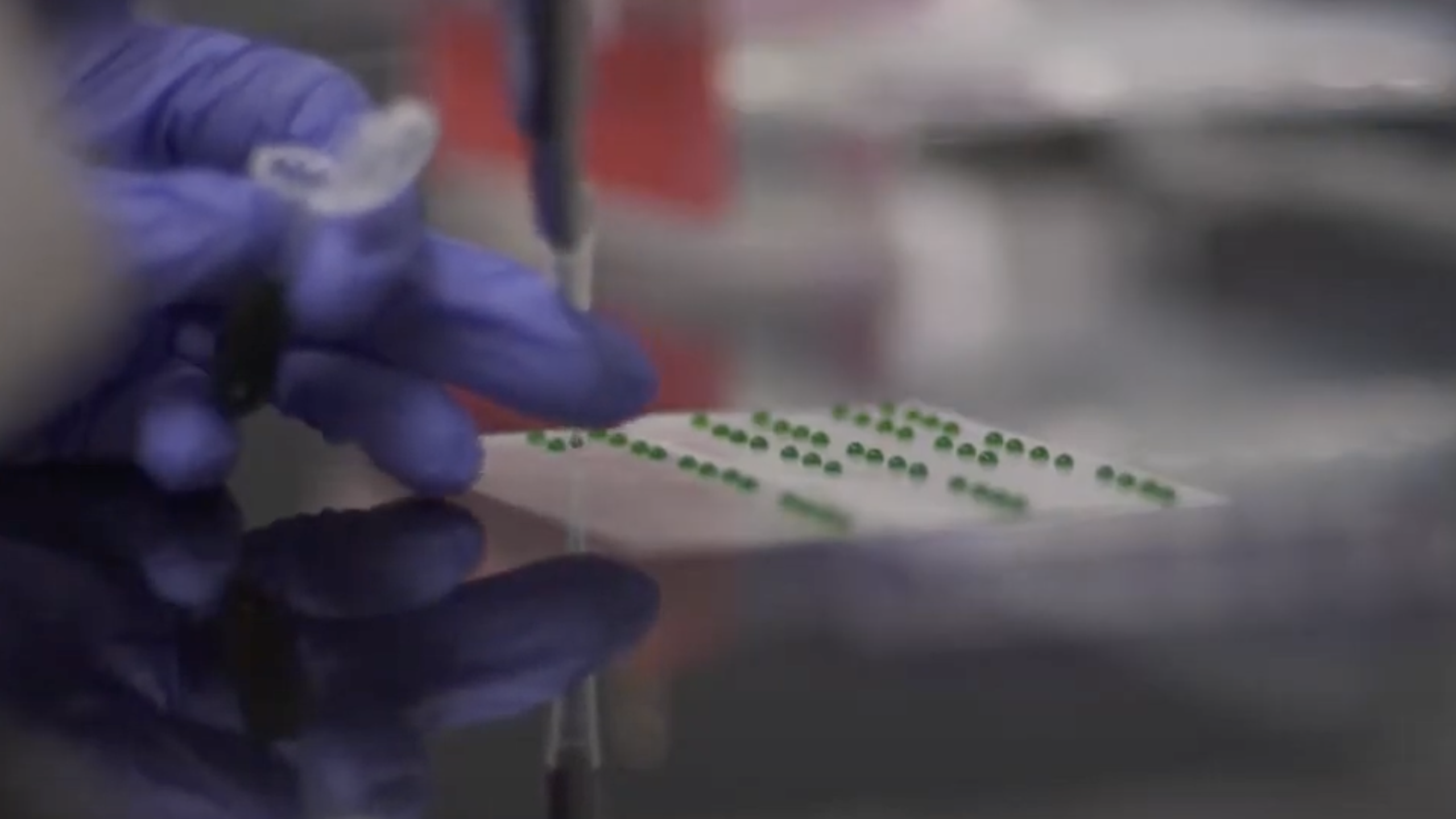 Screenshot 2024-09-19 at 13.46.38